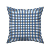 Blue and Charcoal Gingham