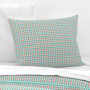 Coral and Mint Gingham