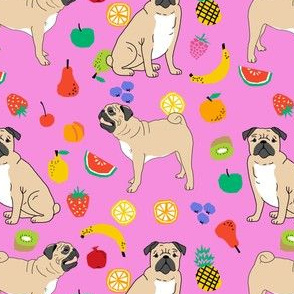 pugs pug dog dog cute pugs sweet tropical summer bright fruits for dog owners