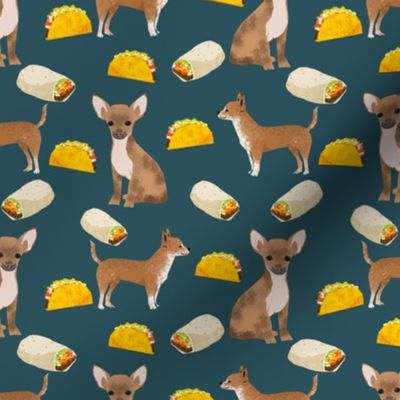 chihuahua tacos food dog burrito funny cute dog pet dog 