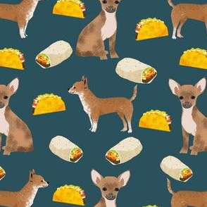 chihuahua tacos food dog burrito funny cute dog pet dog 