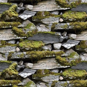 moss and stones