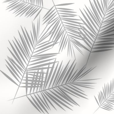 Palm leaf - grey on white