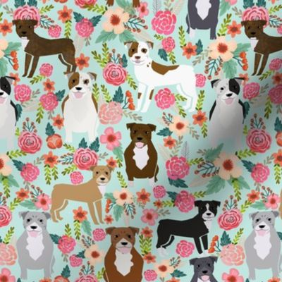 pitbull pitbull terriers cute dogs dog sweet animals florals mint dog pets