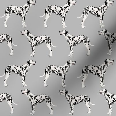 dalmatian dog cute dogs pet dogs grey dog fabric for pet owners dog lovers dog owners