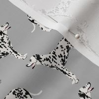 dalmatian dog cute dogs pet dogs grey dog fabric for pet owners dog lovers dog owners