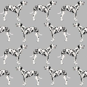 dalmatian dog cute dogs pet dogs grey dog fabric for pet owners dog lovers dog owners
