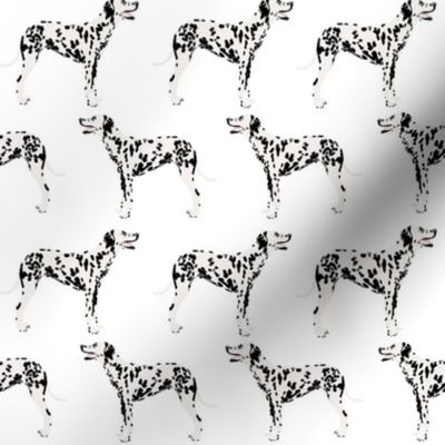 dalmatian dog dogs pet dog fabric black and white cute pets fabric for dog lovers dog owners