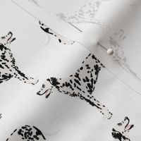 dalmatian dog dogs pet dog fabric black and white cute pets fabric for dog lovers dog owners