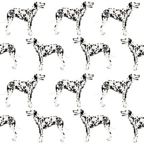 dalmatian dog dogs pet dog fabric black and white cute pets fabric for dog lovers dog owners