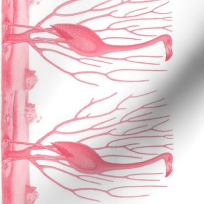 Pre-Linnean Flamingo Border Print ~  Royal Scandal