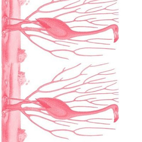 Pre-Linnean Flamingo Border Print ~  Royal Scandal