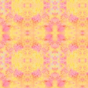 Salted_Pink_Yellow Tie Dye Blender