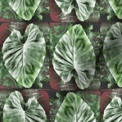 Elephant Ear leaf (Taro) on brown 