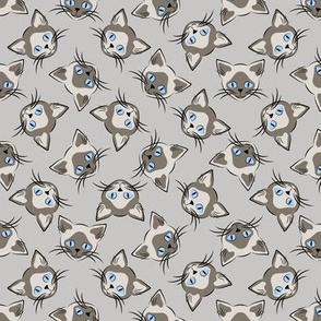 Siamese Cats on Gray