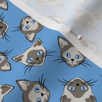 Siamese Cats on Blue