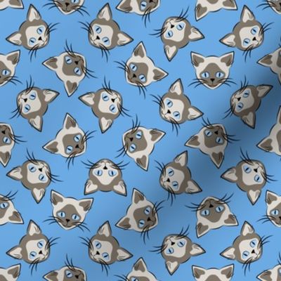 Siamese Cats on Blue