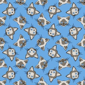 Siamese Cats on Blue