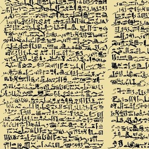 Egyptian Script on Papyrus // Small