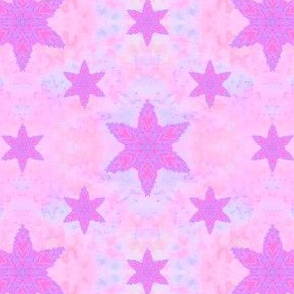 Salted Star Pink Tie Dye