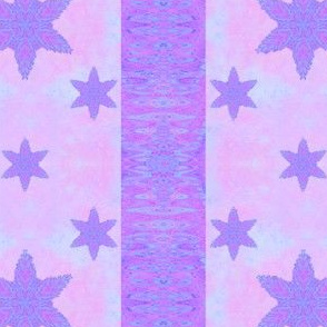 Salted_Star_Sides_Purple