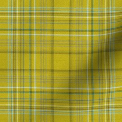 Chartreuse Mad For Plaid