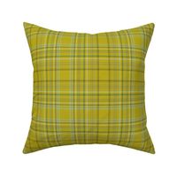 Chartreuse Mad For Plaid