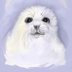 Baby Harp Seal Portrait