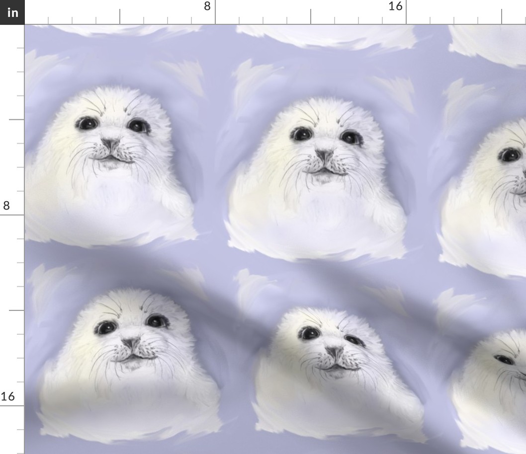 Baby Harp Seal Portrait