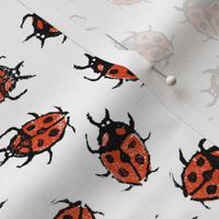 XL dot red ladybugs