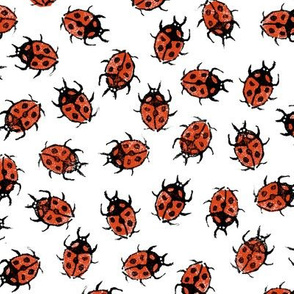 XL dot red ladybugs