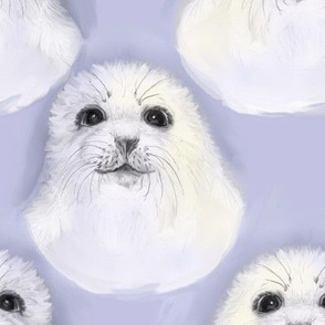 Baby Harp Seal Portrait 2