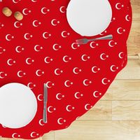 Turkey flag