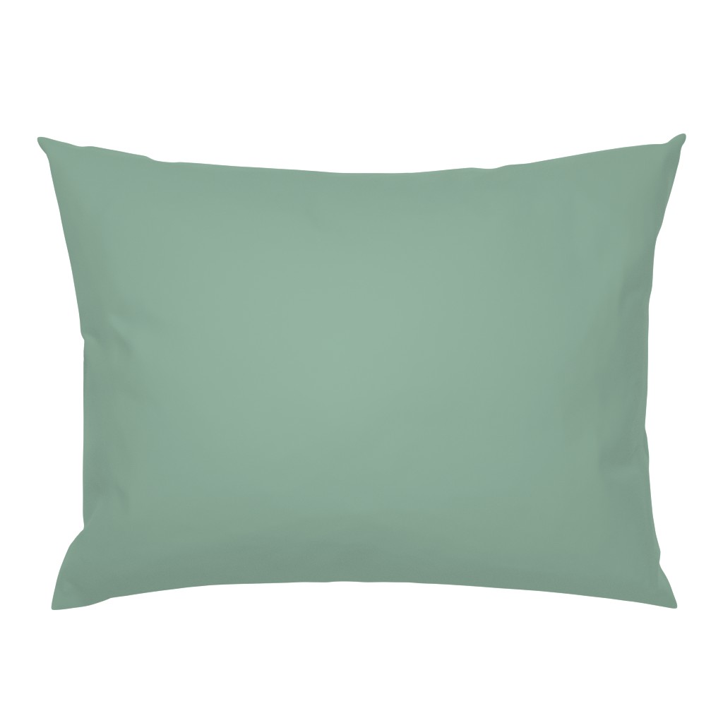 DRSC5 - Pastel Teal Green Solid