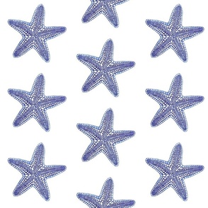 Blue Starfish