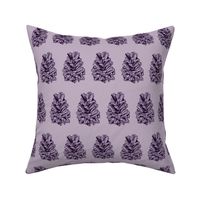 Pine Cone Lilac