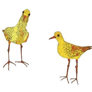 Two yellow birds