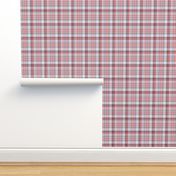 Blue, Pink, & Grey Plaid - Love Tornado Coordinating