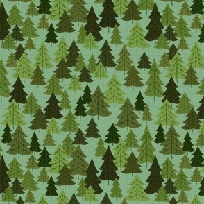 Pine Woods