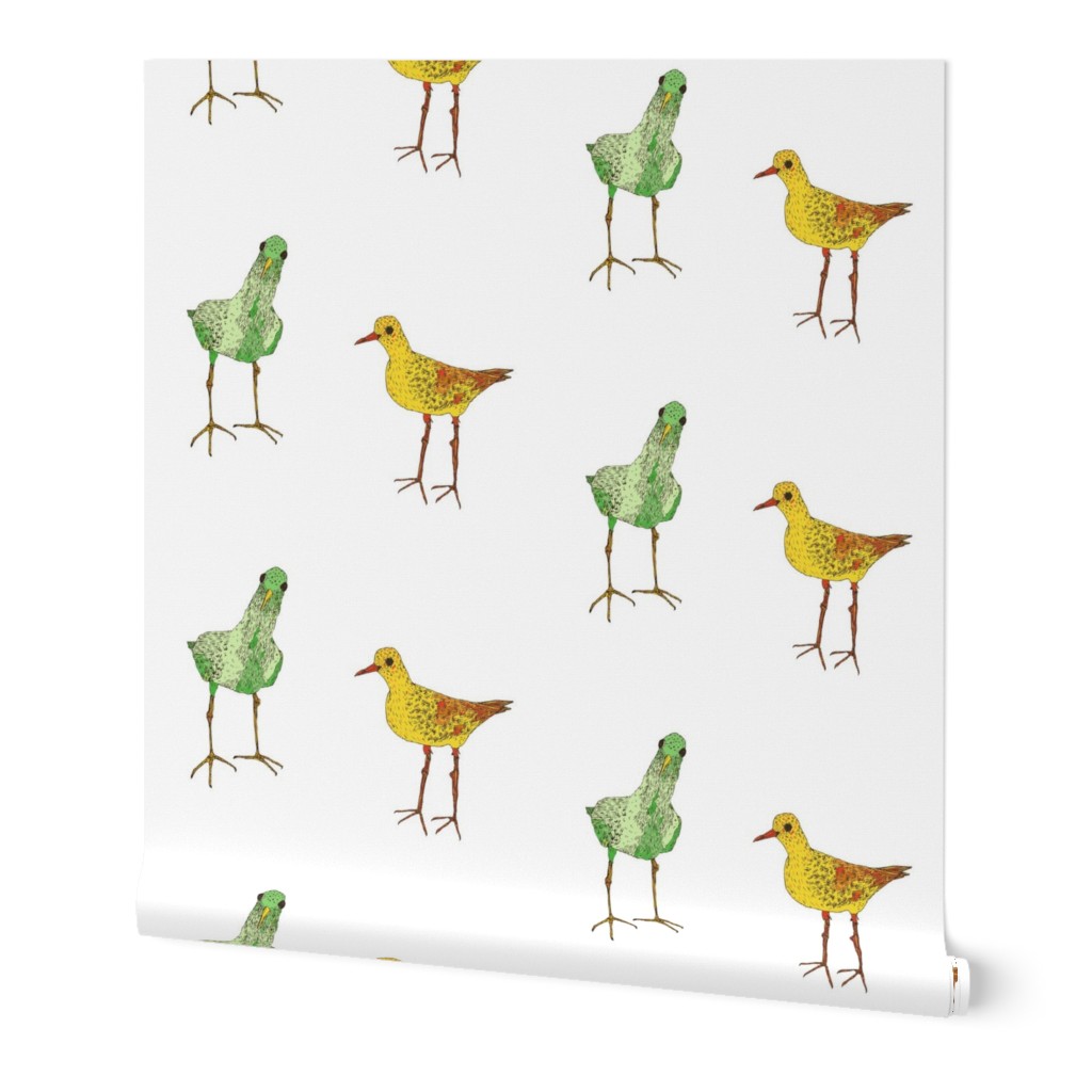 green & yellow birds