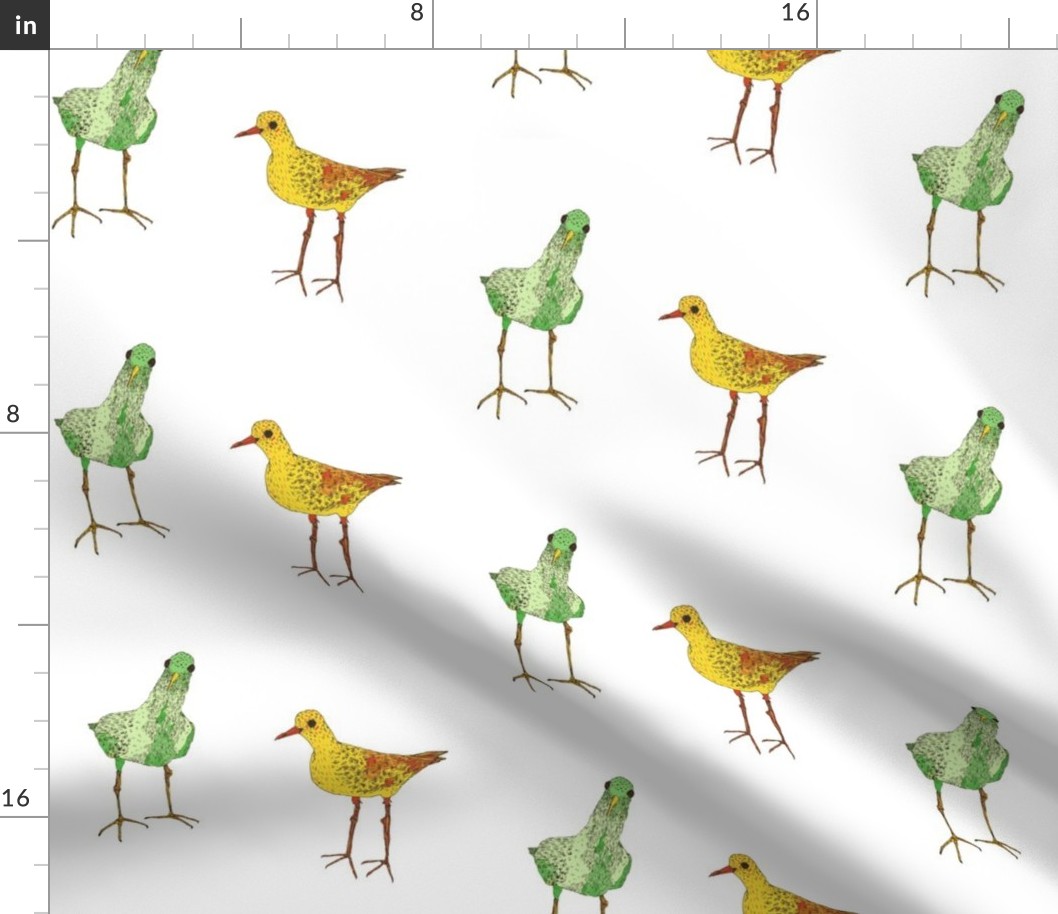 green & yellow birds