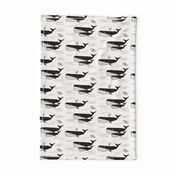 Whales - monochrome geometric black and white water ocean sea || by sunny afternoon