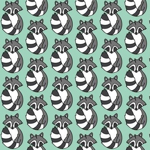 Raccoon // Mint background
