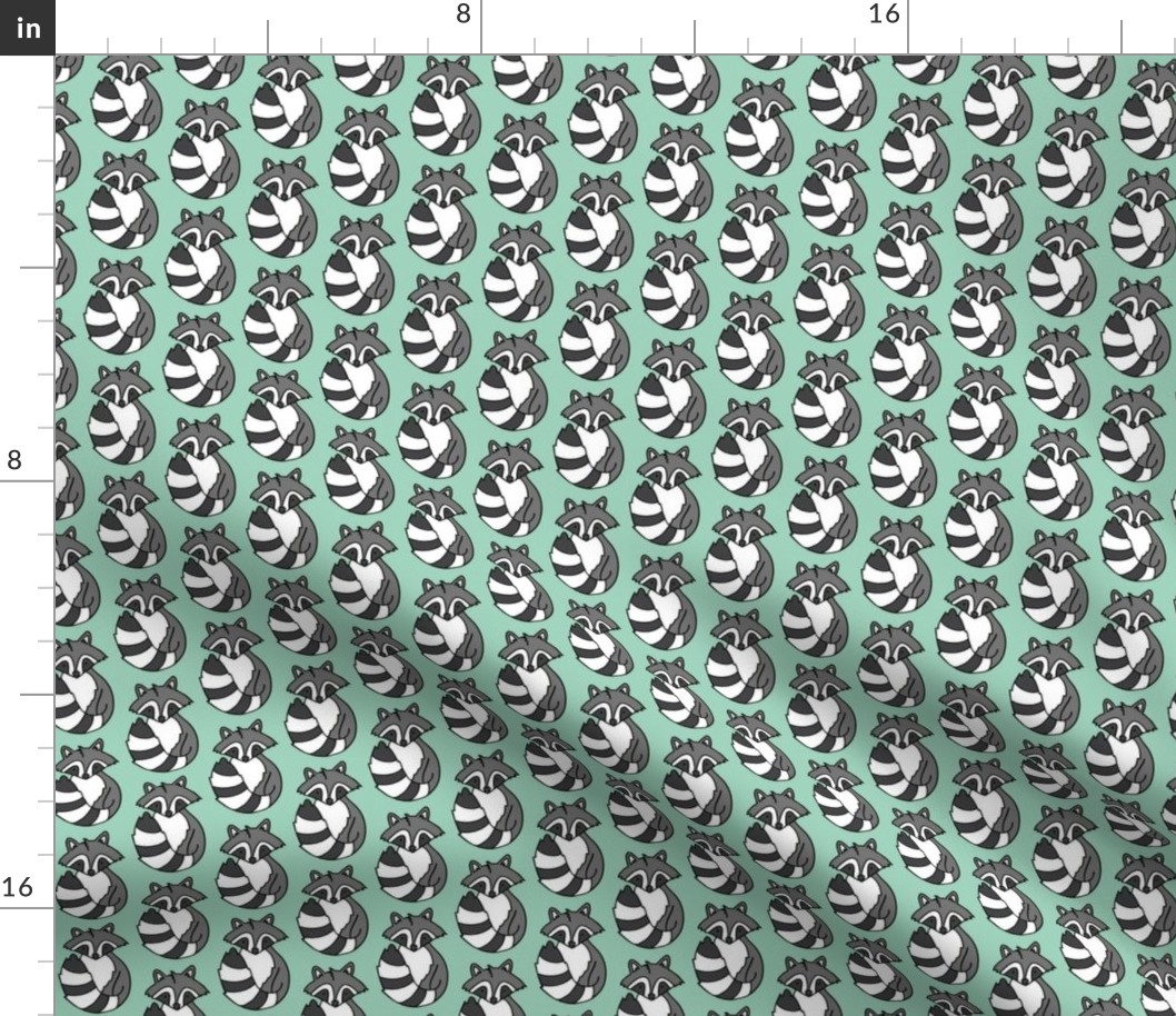 Raccoon // Mint background