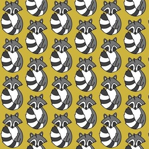 Raccoon // Mustard background