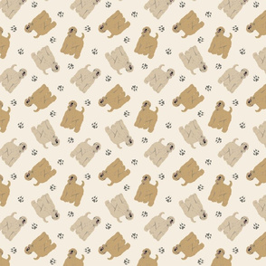 Tiny Wheaten Terriers - tan