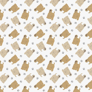 Tiny Wheaten Terriers - gray