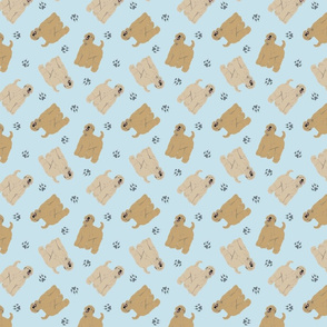 Tiny Wheaten Terriers - blue