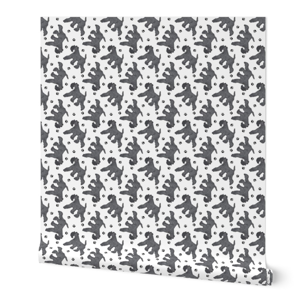 Trotting Kerry Blue Terrier and paw prints - white