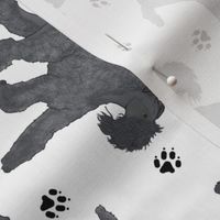 Trotting Kerry Blue Terrier and paw prints - white